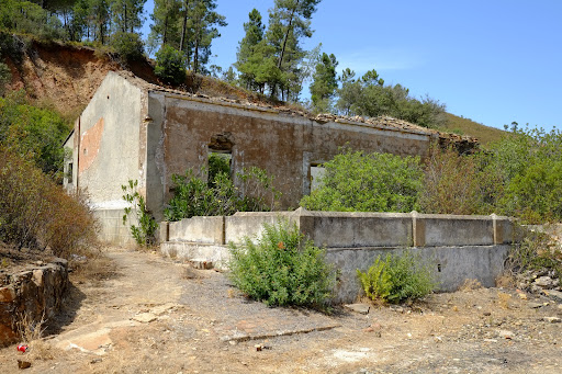 El madroño sevilla