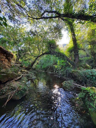 San Nicolás del Puerto