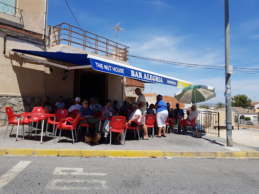 Bar Alegria (The Nut House)