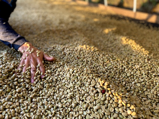 Porte Café de Especialidad Colombiano