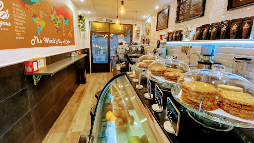 Cygnus Coffee Shop